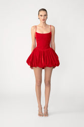Miley Velvet Mini Dress