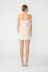 Sasha Lace Mini Dress