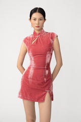 Dawn Velvet Mini Dress