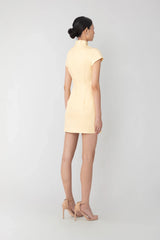 Iris Mini Dress
