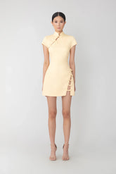 Iris Mini Dress
