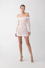 Rachael Lace Mini Dress