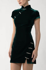 Ivy Velvet Mini Dress