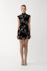 Devon Velvet Mini Dress
