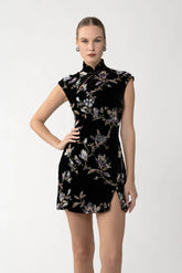 Devon Velvet Mini Dress