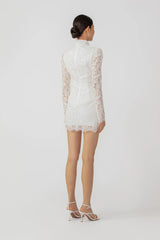 Raine Lace Mini Dress