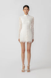 Raine Lace Mini Dress