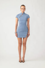 Isa Denim Dress