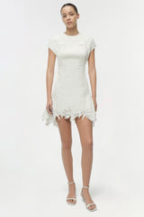 Raquel Embroidered Mini Dress
