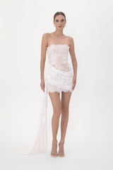 Amelita Lace Mini Dress