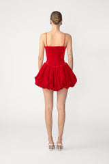 Miley Velvet Mini Dress