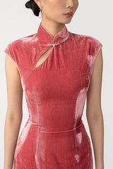 Dawn Velvet Mini Dress