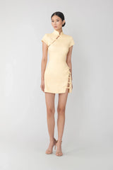 Iris Mini Dress