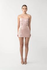 Cindy Sequined Mini Dress