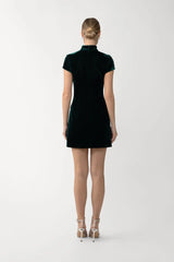 Ivy Velvet Mini Dress