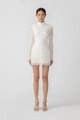 Raine Lace Mini Dress