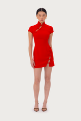 Iris Mini Dress